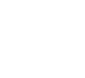 Mv Berg Willkommen